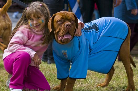 Montevideo - June 26 2010 : dog wearing Uruguayan futball team shirt celebrating the first quarterfinals in 40 years after beating South Korea on 2010 world cup