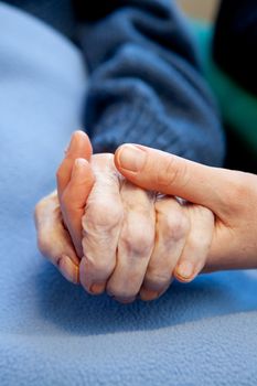 A young hand touches and holds an old wrinkled hand