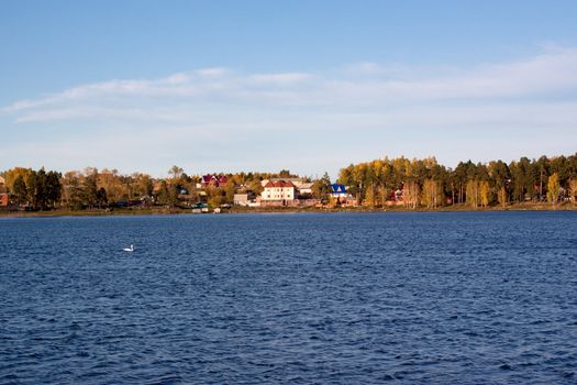 A swan floating in a lake; cottages in a forest are in the background
