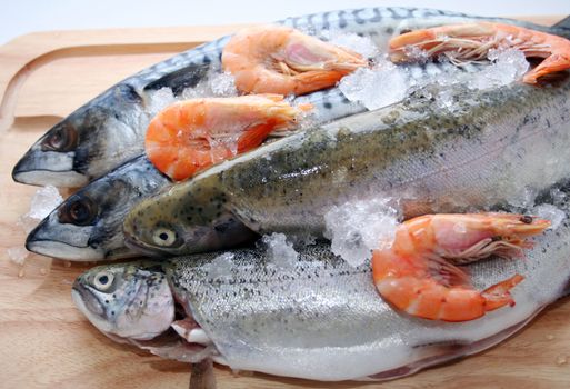 fresh fish
