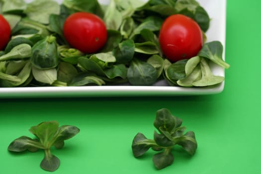 Salad