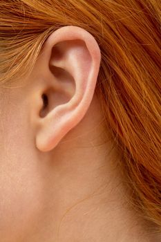 color closeup picture of redhead lady ear