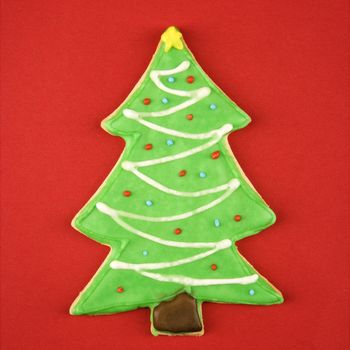 Christmas tree sugar cookie with decorative icing.