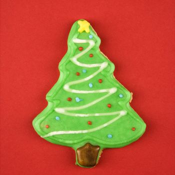 Christmas tree sugar cookie with decorative icing.