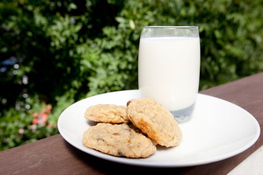 A plate of milk and cookies in an outdoor setting