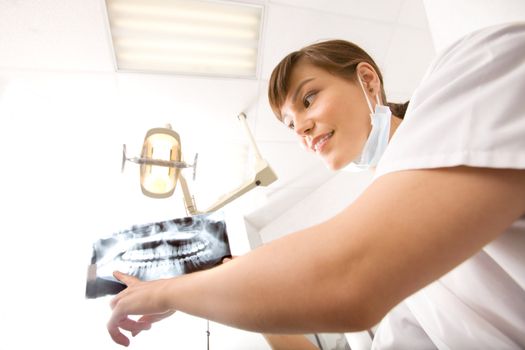 A dentist showing an x-ray of adult teeth