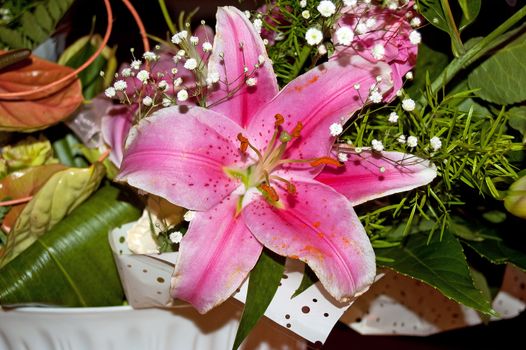 bunch of colourful flowers