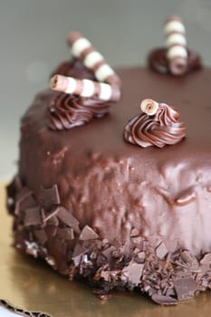 Close up of a chocolate cake on a plate.