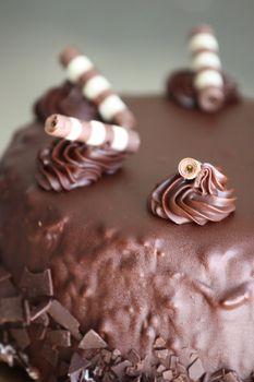 Close up of a chocolate cake on a plate.