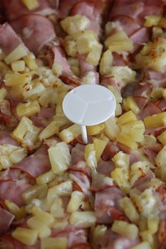 Close up of a Hawaiian Pizza.