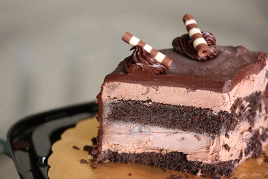 Close up of a chocolate cake on a plate.