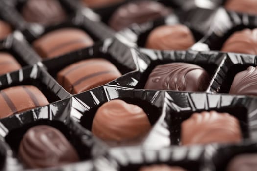 Tray of a Variety of Light and Dark Chocolates.