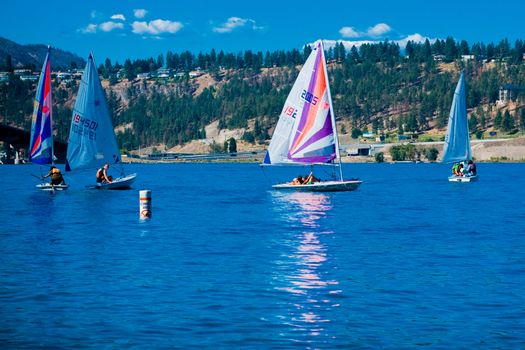 yacht sails on the blue water in a sunny day