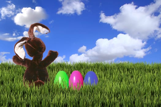 Easter Bunny in the Green Grass Against A Blue Cloudy Sky