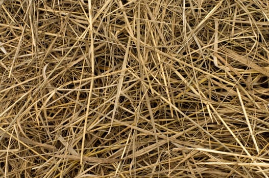 Background of hay closeup.