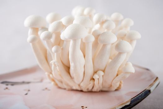 Delicate shimeji mushrooms bunched together