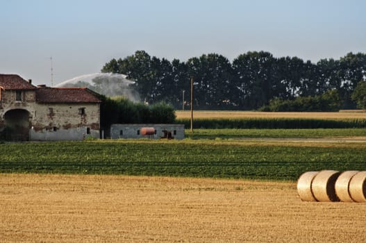 agriculture area in padana plain lombardy italy