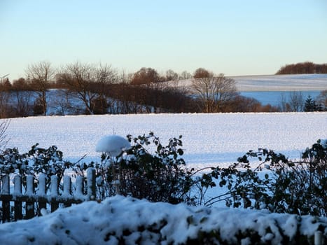 Winter snow landscape of open field and a forest