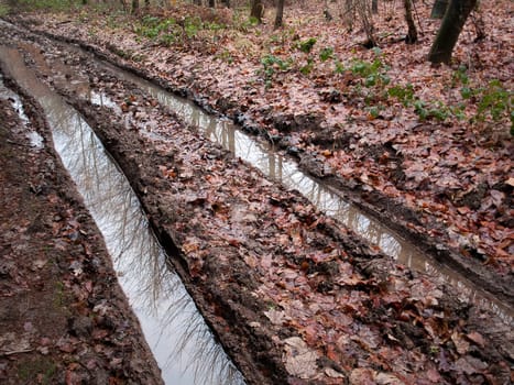 Country forest road footpath muddy with tire tracks