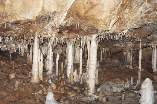 Javorice caves are located in central Moravia, about 10 miles west of Litovel city. Underground cave system Javorice a complex of corridors, domes and divides. Cave excel beautiful stalactite formations. Javorice, Moravia, Czech republic.