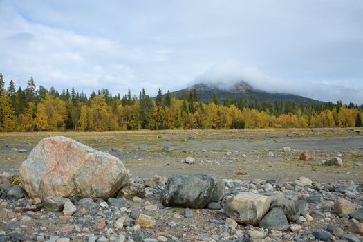 Stone field on the autumn forest on sky background