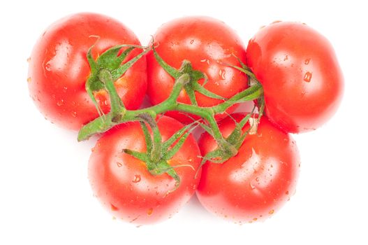 Shot of group tomatoes isolated on white