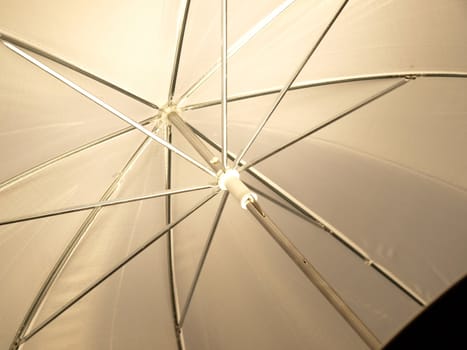 Under a an umbrella at a photo studio
