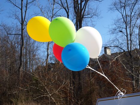 Balloons showing where the sale is