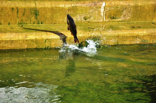 Parc in Lisboa