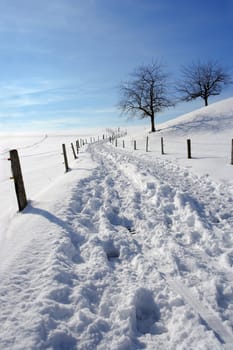 A snowy path or road widing up a hill through the countryside.