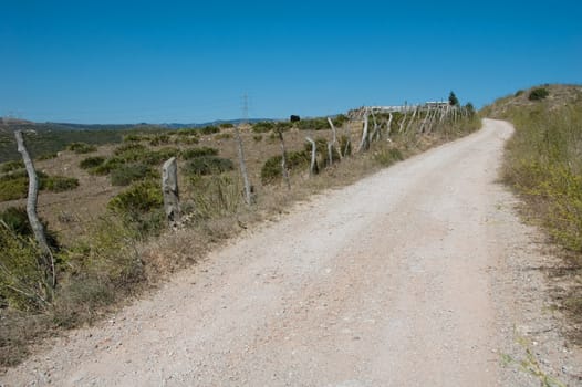 Shot of up road in countryside, nature and blue sky