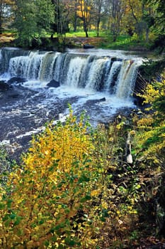 Falls on wood small river in the solar autumn afternoon