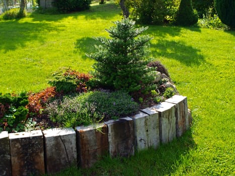 Beautiful garden corner wooden flowerbed with green plants 