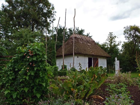 Small country house with old style thatched straw roof in Denmark  