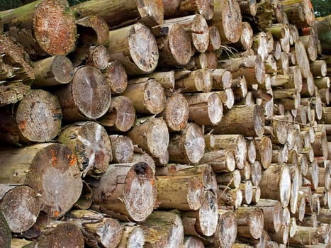 Pile of heavy wood logs stacked outdoors