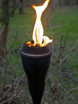 Burning Tiki Garden Torch fire flame with blurred garden background