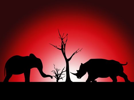 Elephant and Rhino silhouette against a wild landscape.