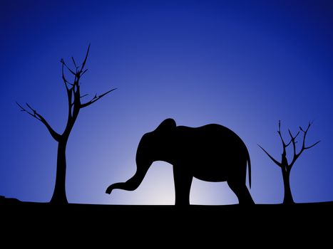 Elephant against a wild landscape.

