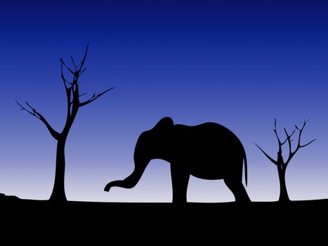 Elephant against a wild landscape.
