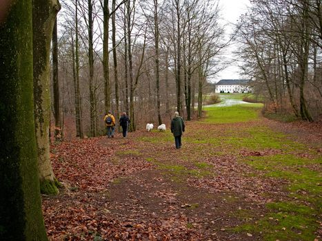 Three hikers and dogs walking in the woods forest - nature activity stroll