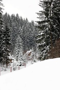 cottages in mountains in winter somewhere in Poland