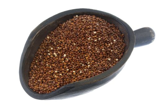 red quinoa grain on a rustic, wooden scoop, isoalted on white