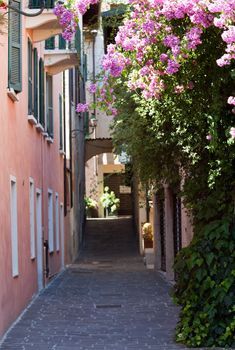 Gardone on Lake Garda with tree lined street