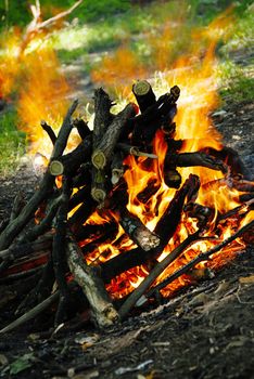 scenic burning woods in yellow fire outdoor