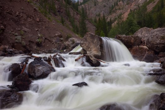 mountain river. fast stream water. summer landscape