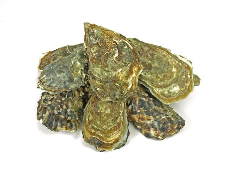 a pile of fresh and closed oysters on white background