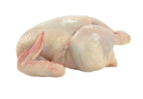 a whole fresh and raw chicken isolated on white