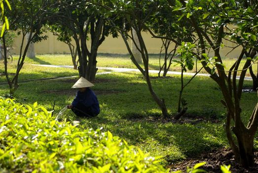 This is a Vietnamese woman in a beautiful asian garden