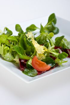 detail of a mixed salad on a white plate