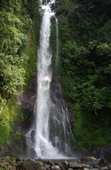 The waterfall "Gitgit" is the highest of the island of Bali